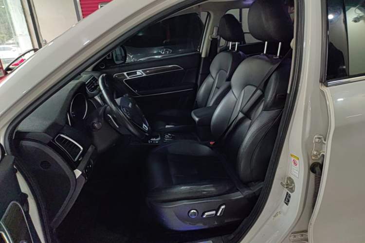 Used Haval H6 Coupe 2016 Blue Label 1.5T Automatic Two-Wheel Drive Elite Model Left Front Seat