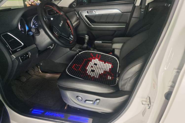 Used Haval H6 Coupe 2016 Blue Label 1.5T Manual Two-Wheel Drive Elite Model Left Front Seat