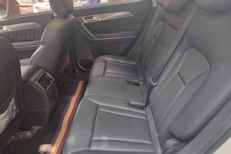 Used Haval H6 Coupe 2016 Blue Label 1.5T Automatic Two-Wheel Drive Elite Model Left Rear Seat
