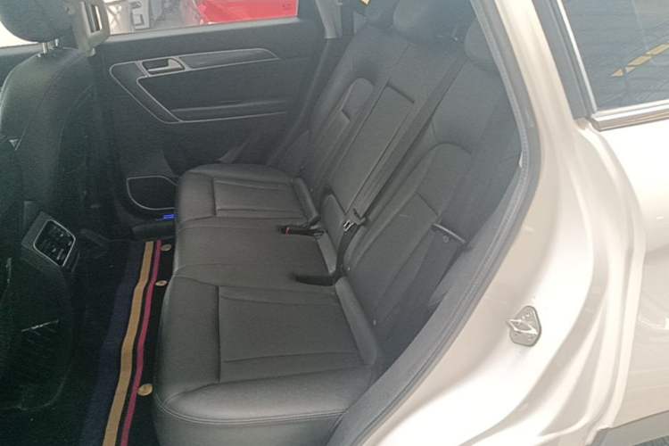 Used Haval H6 Coupe 2016 Blue Label 1.5T Automatic Two-Wheel Drive Elite Model Left Rear Seat