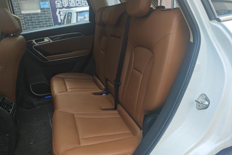 Used Haval H6 Coupe 2016 Blue Label 1.5T Automatic Two-Wheel Drive Elite Model Left Rear Seat