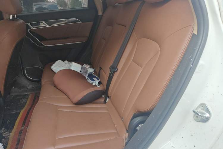 Used Haval H6 Coupe 2016 Blue Label 1.5T Manual Two-Wheel Drive Urban Model Left Rear Seat