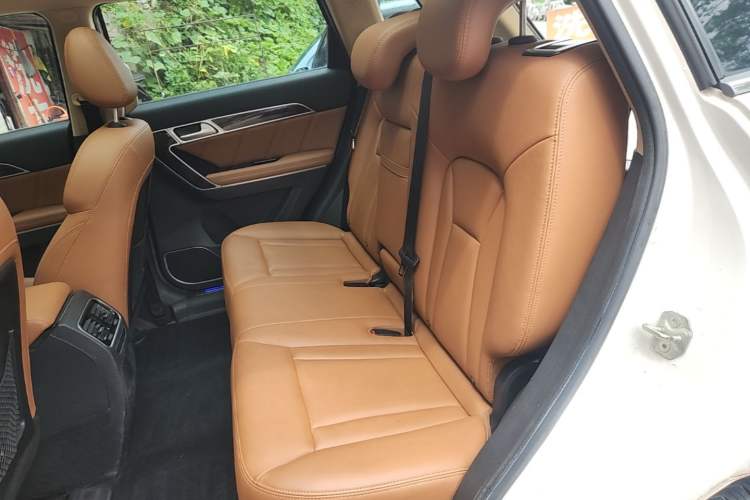 Used Haval H6 Coupe 2016 Blue Label 1.5T Manual Two-Wheel Drive Elite Model Left Rear Seat