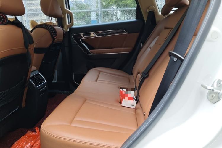 Used Haval H6 Coupe 2016 Blue Label 1.5T Automatic Two-Wheel Drive Elite Model Left Rear Seat