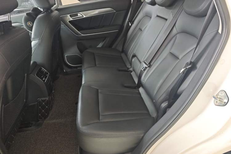 Used Haval H6 Coupe 2016 Blue Label 1.5T Manual Two-Wheel Drive Urban Model Left Rear Seat