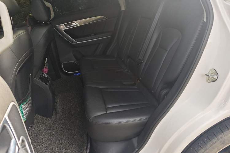 Used Haval H6 Coupe 2016 Blue Label 1.5T Automatic Two-Wheel Drive Elite Model Left Rear Seat
