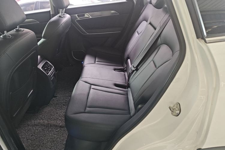 Used Haval H6 Coupe 2016 Blue Label 1.5T Automatic Two-Wheel Drive Elite Model Left Rear Seat