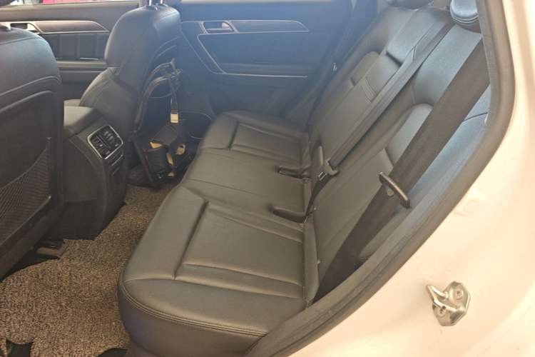 Used Haval H6 Coupe 2016 Blue Label 1.5T Automatic Two-Wheel Drive Elite Model Left Rear Seat