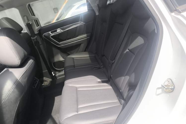Used Haval H6 Coupe 2016 Blue Label 1.5T Automatic Two-Wheel Drive Elite Model Left Rear Seat