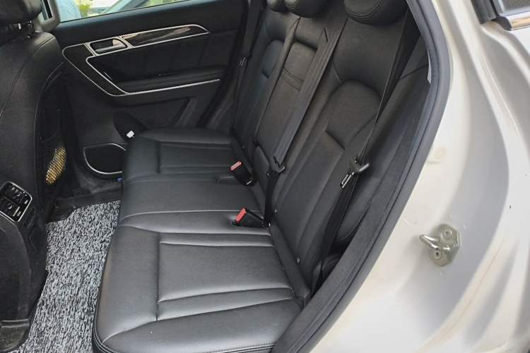 Used Haval H6 Coupe 2016 Blue Label 1.5T Manual Two-Wheel Drive Elite Model Left Rear Seat