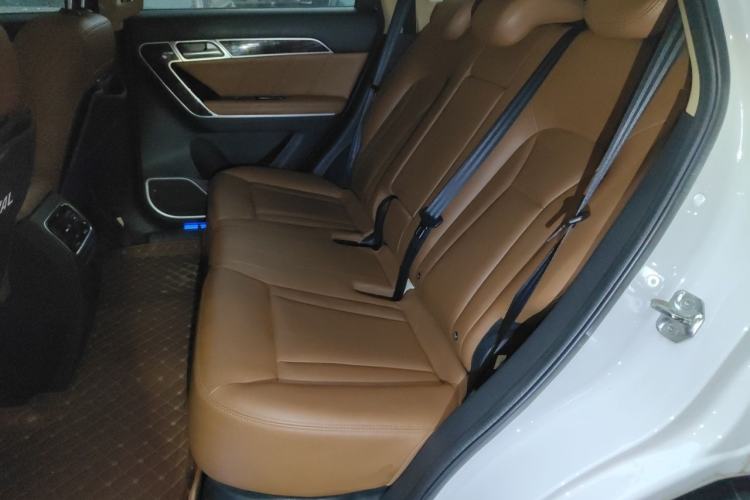 Used Haval H6 Coupe 2016 Blue Label 1.5T Manual Two-Wheel Drive Elite Model Left Rear Seat