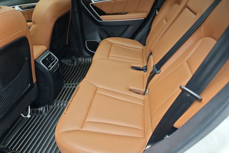 Used Haval H6 Coupe 2016 Blue Label 1.5T Automatic Two-Wheel Drive Elite Model Left Rear Seat