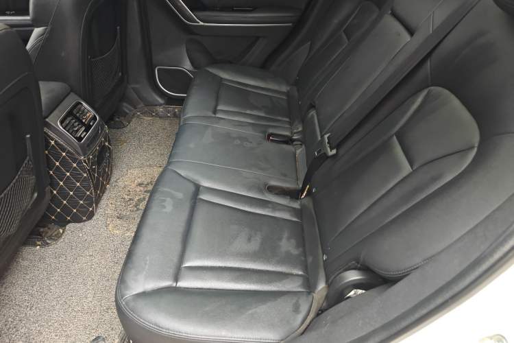 Used Haval H6 Coupe 2016 Blue Label 1.5T Manual Two-Wheel Drive Elite Model Left Rear Seat