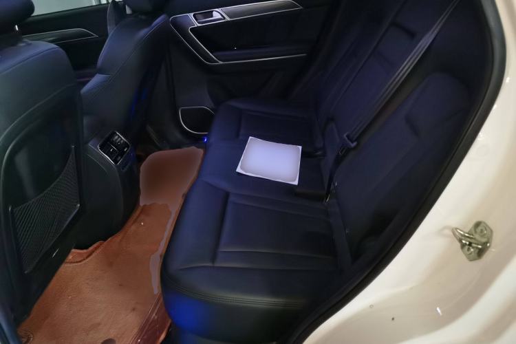 Used Haval H6 Coupe 2016 Blue Label 1.5T Manual Two-Wheel Drive Elite Model Left Rear Seat