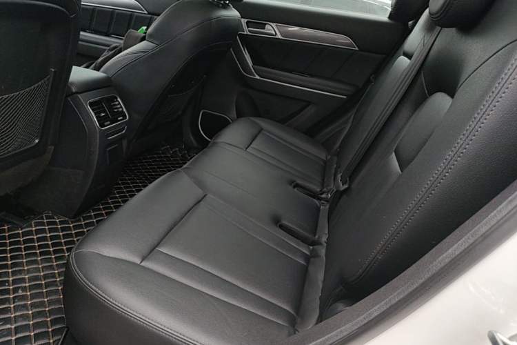 Used Haval H6 Coupe 2016 Blue Label 1.5T Automatic Two-Wheel Drive Elite Model Left Rear Seat