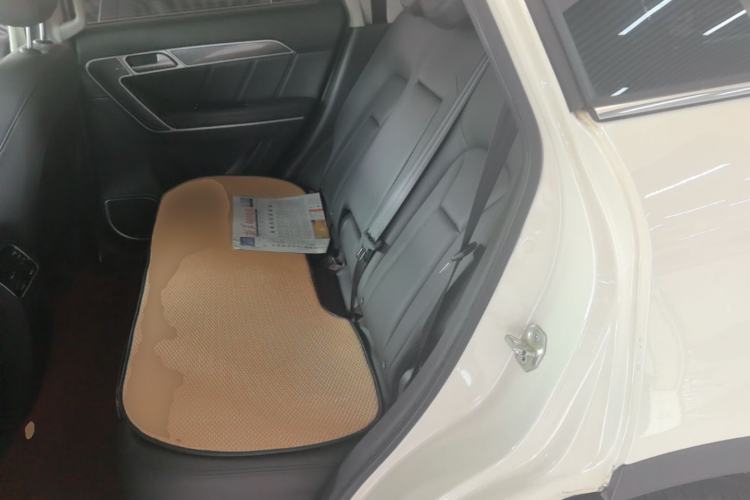 Used Haval H6 Coupe 2016 Blue Label 1.5T Automatic Two-Wheel Drive Urban Model Left Rear Seat