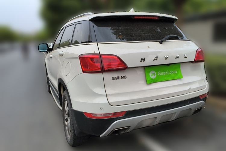 Used Haval H6 Coupe 2016 Blue Label 1.5T Manual Two-Wheel Drive Urban Model Rear Left 45 Deg