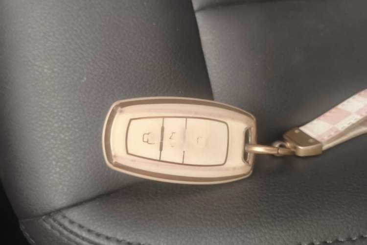 Used Haval H6 Coupe 2016 Blue Label 1.5T Automatic Two-Wheel Drive Urban Model Vehicle Key