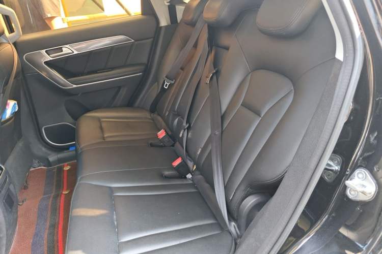 Used Haval H6 Coupe 2017 Red-Label 2.0T Automatic Two-Wheel Drive Elite Model Left Rear Seat