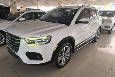 Used Haval H6 Coupe 2017 Red Label 2.0T Automatic Two-Wheel Drive Prestige Model