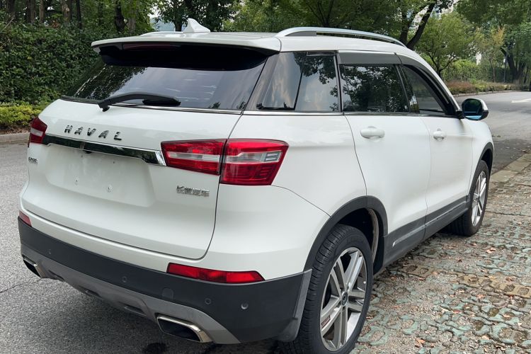 Used Haval H6 Coupe 2017 Red Label 2.0T Manual Two-Wheel Drive Elite Model Exterior 4