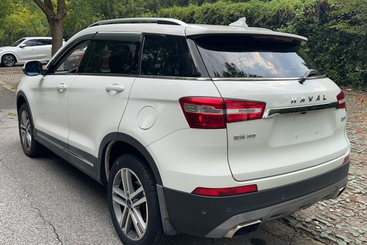 Used Haval H6 Coupe 2017 Red Label 2.0T Manual Two-Wheel Drive Elite Model Exterior 6