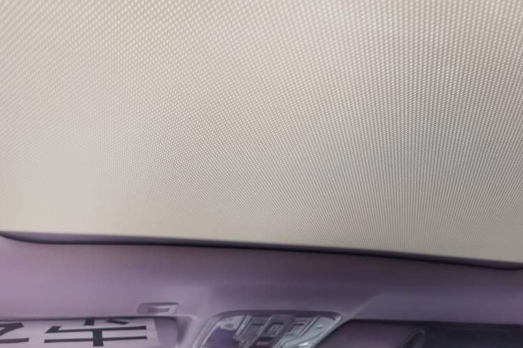 Used Haval H6 Coupe 2017 Red Label 2.0T Manual Two-Wheel-Drive Urban Model Headliner