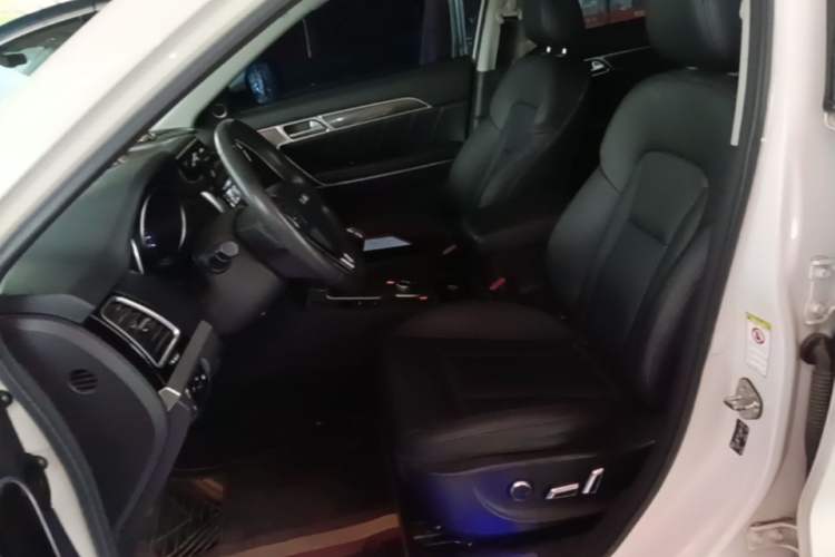 Used Haval H6 Coupe 2017 Red Label 2.0T Manual Two-Wheel Drive Elite Model Left Front Seat