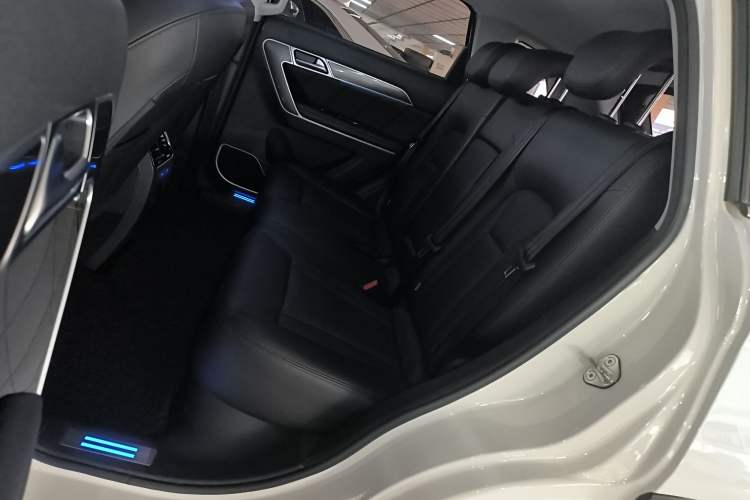 Used Haval H6 Coupe 2017 Red Label 2.0T Automatic Two-Wheel Drive Prestige Model Left Rear Seat
