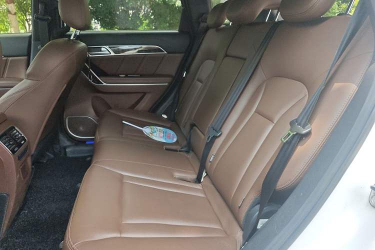 Used Haval H6 Coupe 2017 Red-Label 2.0T Automatic Two-Wheel Drive Elite Model Left Rear Seat