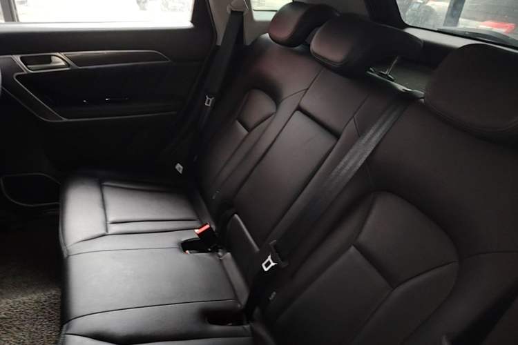 Used Haval H6 Coupe 2017 Blue Label 2.0T Automatic Two-Wheel Drive Elite Model Left Rear Seat
