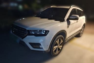 Used Haval H6 Coupe 2017 Blue Label 2.0T Automatic Two-Wheel Drive Elite Model