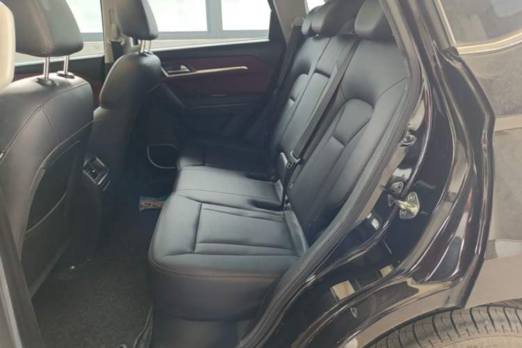 Used Haval H6 Coupe 2018 Red-Label 1.5T Automatic Two-Wheel Drive Ultra-Luxury Model Left Rear Seat
