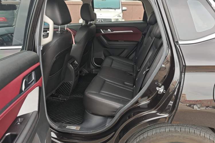 Used Haval H6 Coupe 2018 Red-Label 1.5T Automatic Two-Wheel Drive Ultra-Luxury Model Left Rear Seat