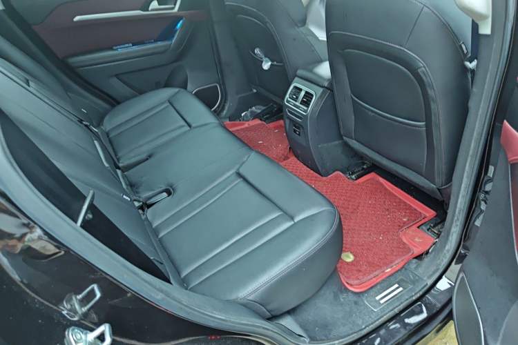 Used Haval H6 Coupe 2018 Red-Label 1.5T Automatic Two-Wheel Drive Ultra-Luxury Model Left Rear Seat