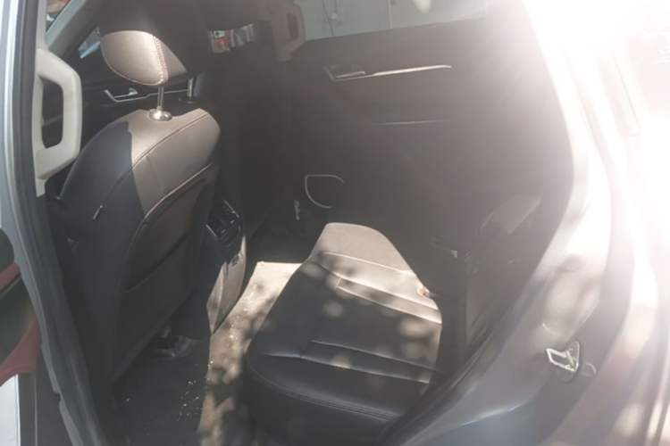 Used Haval H6 Coupe 2018 Red-Label 1.5T Automatic Two-Wheel Drive Ultra-Luxury Model Left Rear Seat