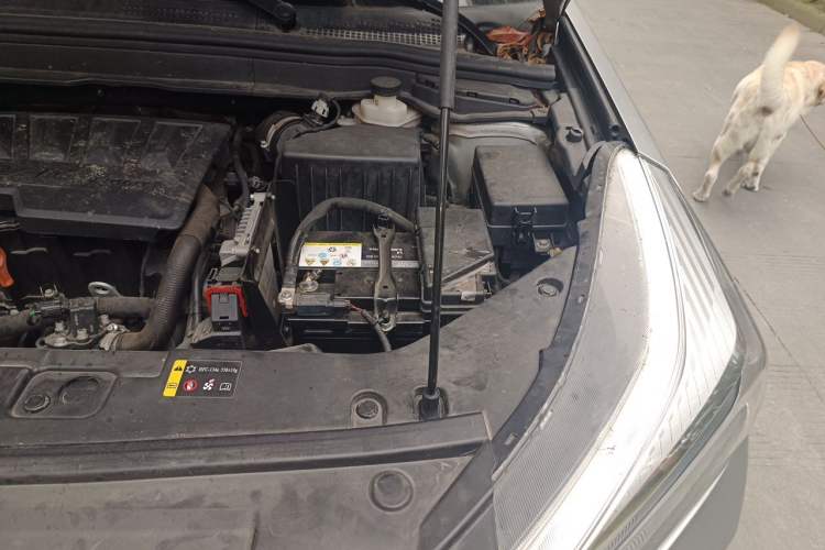 Used Haval H6 Coupe 2018 Red-Label 1.5T Automatic Two-Wheel Drive Ultra-Luxury Model Engine Bay Left