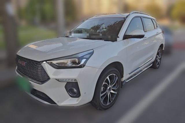 Gebrauchter Haval H6 Coupe 2018 Red-Label 1.5T Automatic Two-Wheel Drive Ultra-Luxury Model
