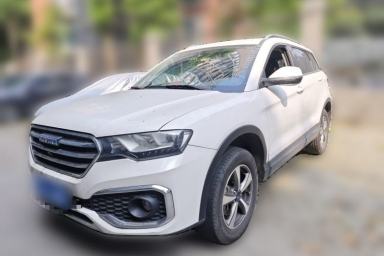 Used Haval H6 Coupe 2018 Blue Label 1.5T Automatic Two-Wheel Drive Luxury Model