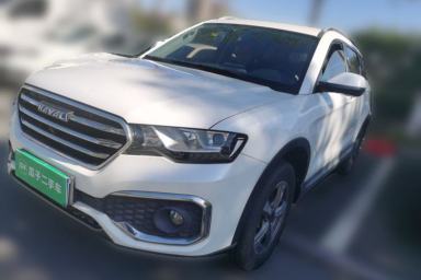Used Haval H6 Coupe 2018 Blue Label 1.5T Automatic Two-Wheel Drive Luxury Model