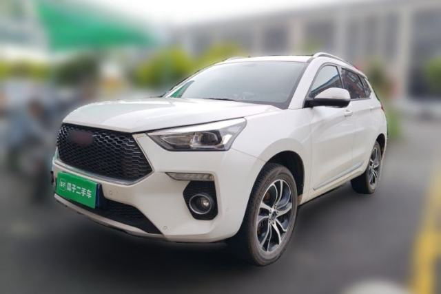 Used Haval H6 Coupe 2018 Red-Label 1.5T Automatic Two-Wheel Drive Ultra-Luxury Model