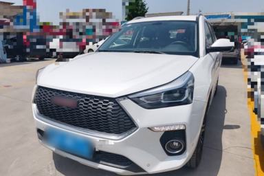 Used Haval H6 Coupe 2018 Red-Label 1.5T Automatic Two-Wheel Drive Ultra-Luxury Model