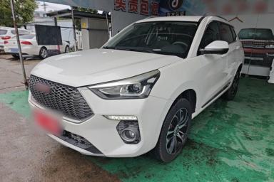Used Haval H6 Coupe 2018 Red-Label 1.5T Automatic Two-Wheel Drive Ultra-Luxury Model