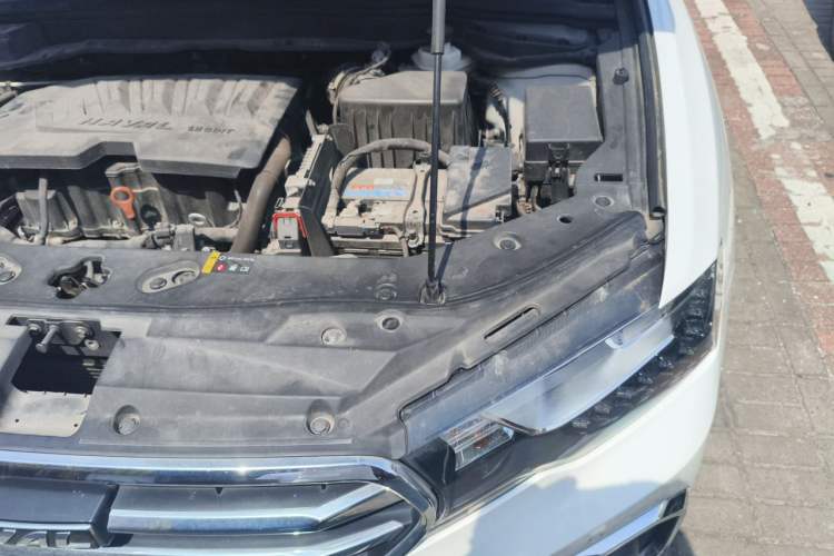 Used Haval H6 Coupe 2018 Blue Label 1.5T Automatic Two-Wheel Drive Ultra-Luxury Model Engine Bay Left