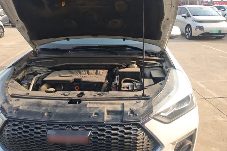 Used Haval H6 Coupe 2018 Red-Label 1.5T Automatic Two-Wheel Drive Luxury Model Engine Bay Left