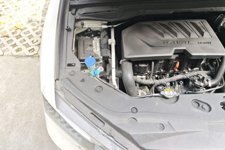 Used Haval H6 Coupe 2018 Blue Label 1.5T Automatic Two-Wheel Drive Luxury Model Engine Bay Right