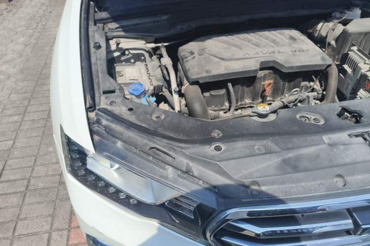 Used Haval H6 Coupe 2018 Blue Label 1.5T Automatic Two-Wheel Drive Ultra-Luxury Model Engine Bay Right