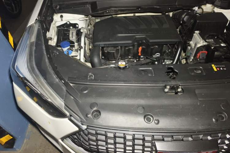 Used Haval H6 Coupe 2018 Red-Label 1.5T Automatic Two-Wheel Drive Luxury Model Engine Bay Right