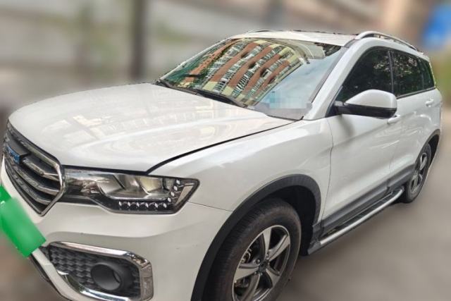 Used Haval H6 Coupe 2018 Blue Label 1.5T Automatic Two-Wheel Drive Luxury Model