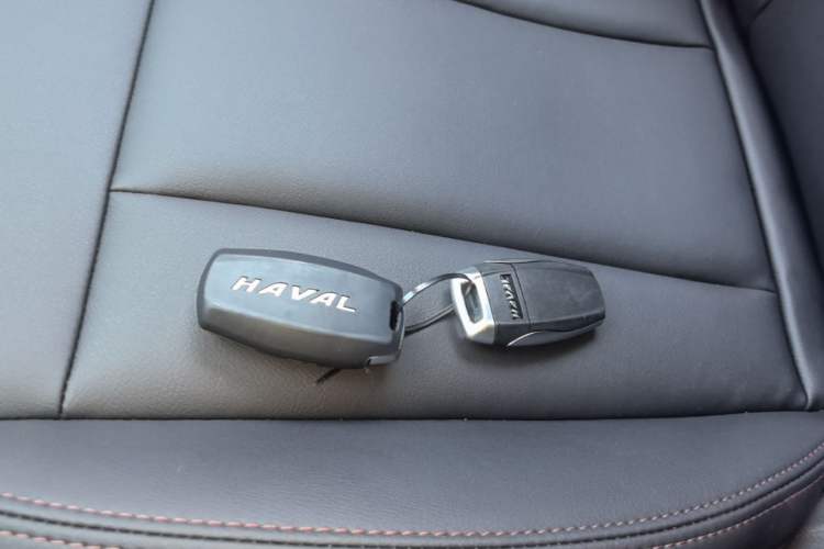 Used Haval H6 Coupe 2018 Red-Label 1.5T Automatic Two-Wheel Drive Luxury Model Interior 1